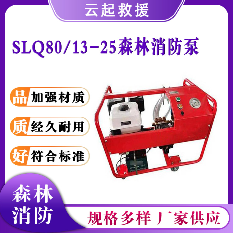 SLQ80/13-25森林消防泵森林高压防火泵应急救援柱塞泵