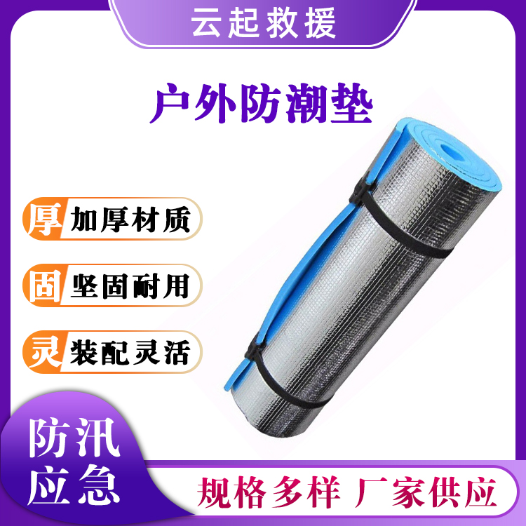 单双人野营泡沫坐垫沙滩爬行垫EVA户外防潮垫双面铝膜野餐垫