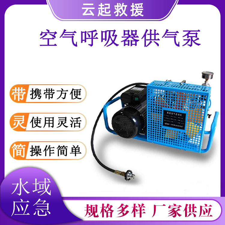 空气呼吸器供气泵潜水呼吸器填充泵100L自动停机压缩机