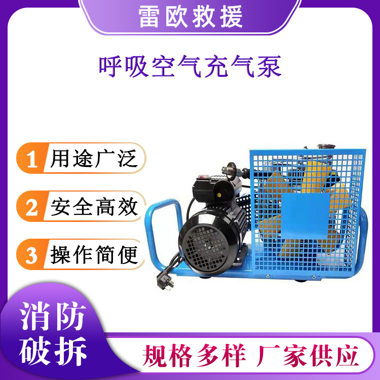 空气呼吸器充气泵便携式打气充填高压泵正压式微型空气压缩机 